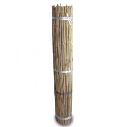 Tutor de Bambú 1,2m fardo...