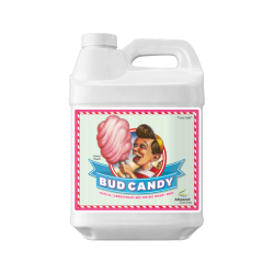 Bud Candy 250 ml